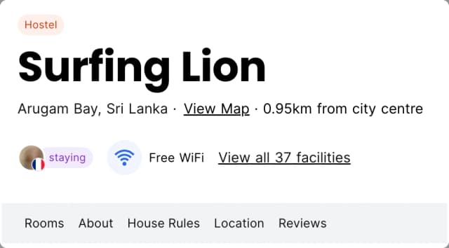 Surfing Lion